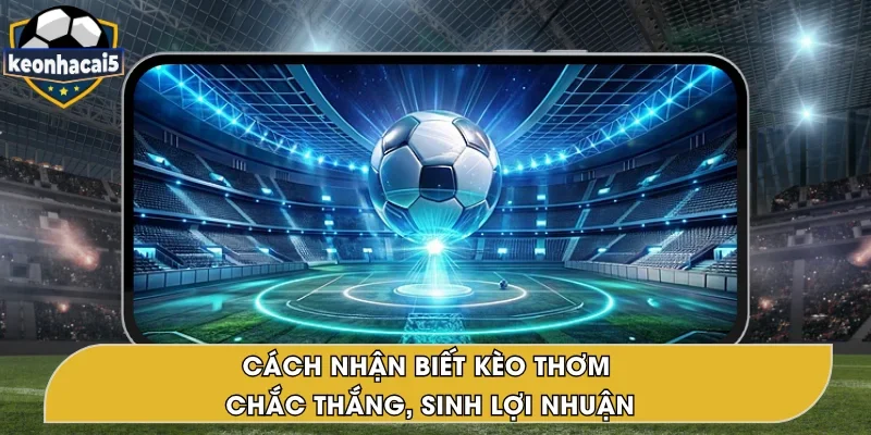 Cách Nhận Biết Kèo Thơm Hiệu Quả, Dễ Dàng Trúng Thưởng